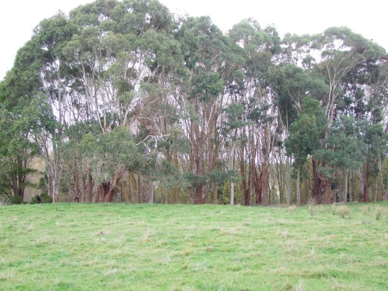 Mirboo North VIC 3871