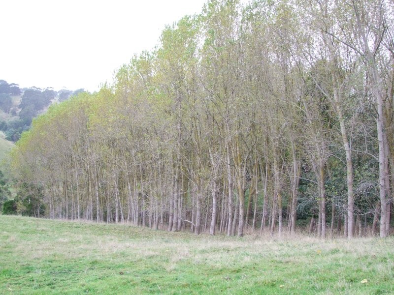 Mirboo North VIC 3871