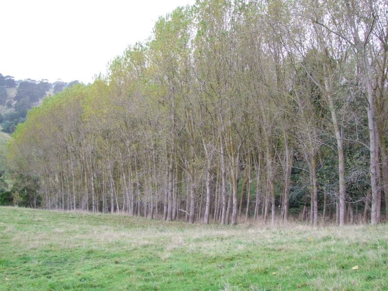 Mirboo North VIC 3871