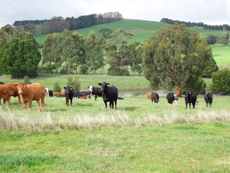 3600 STREZLECKI HWY, Mirboo North VIC 3871