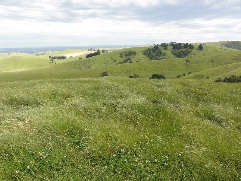 85 Mirboo South Rd, Foster VIC 3960