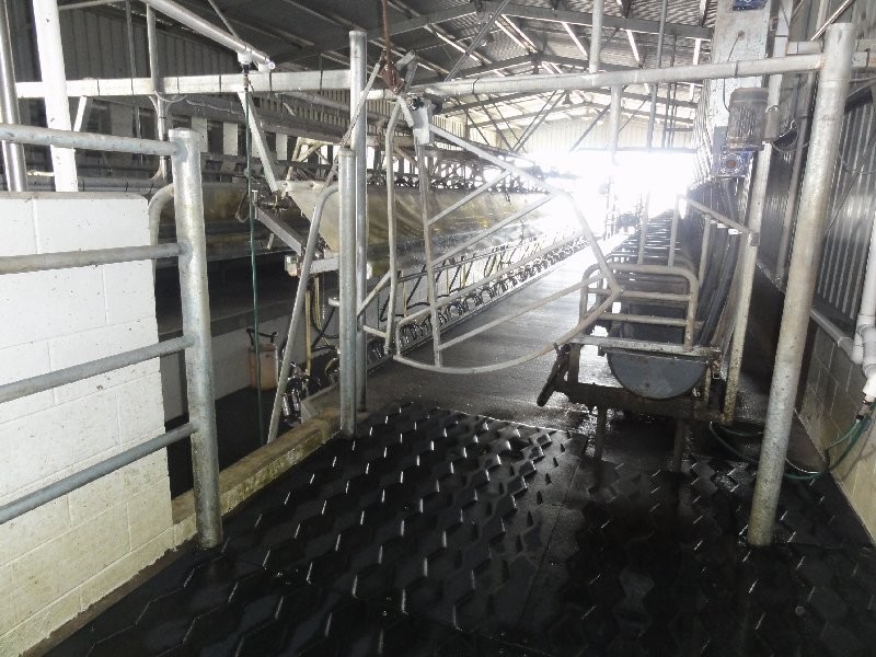 3445 Meeniyan-Prom Rd, Yanakie VIC 3960