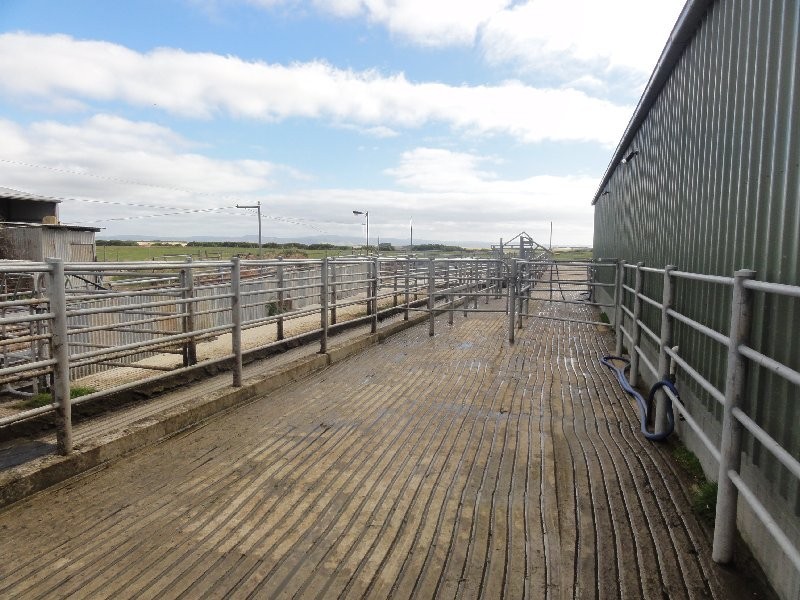 3445 Meeniyan-Prom Rd, Yanakie VIC 3960