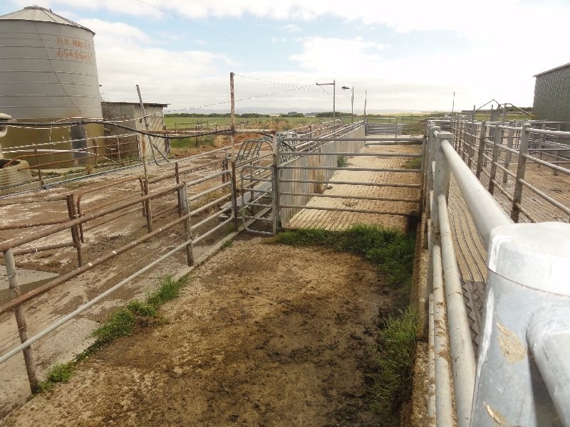 3445 Meeniyan-Prom Rd, Yanakie VIC 3960