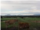 4410 Sth Gippsland Hwy, Foster VIC 3960