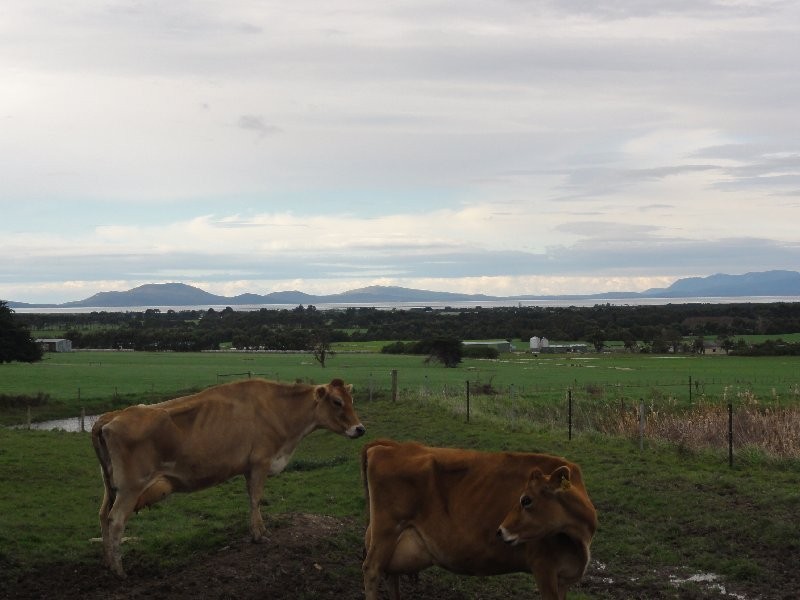4410 Sth Gippsland Hwy, Foster VIC 3960