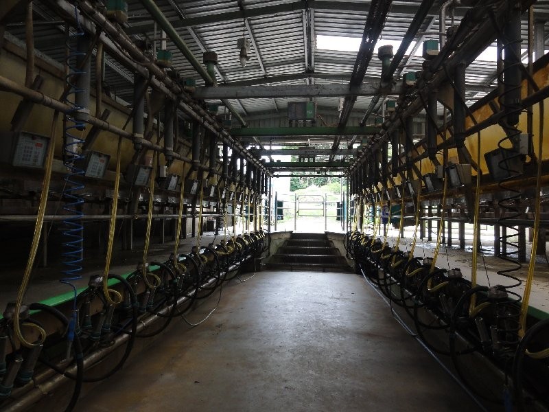 4410 Sth Gippsland Hwy, Foster VIC 3960