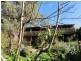 37 Hoddle Rd, Foster VIC 3960