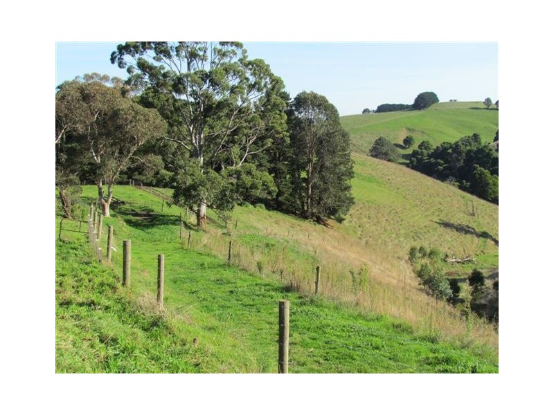 25 Hoy Road, Mountain View VIC 3988