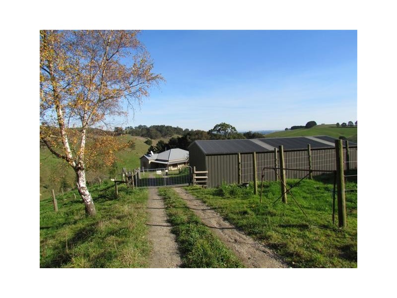 25 Hoy Road, Mountain View VIC 3988