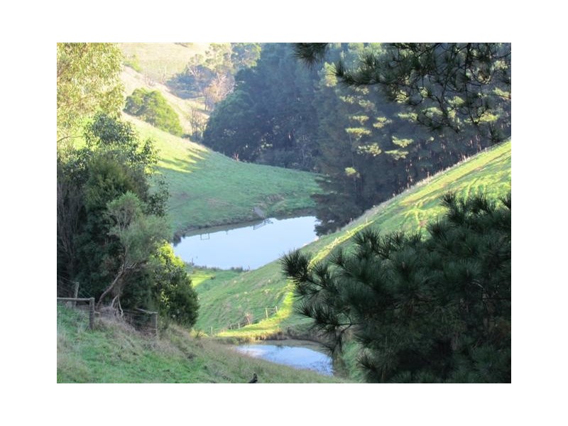 25 Hoy Road, Mountain View VIC 3988