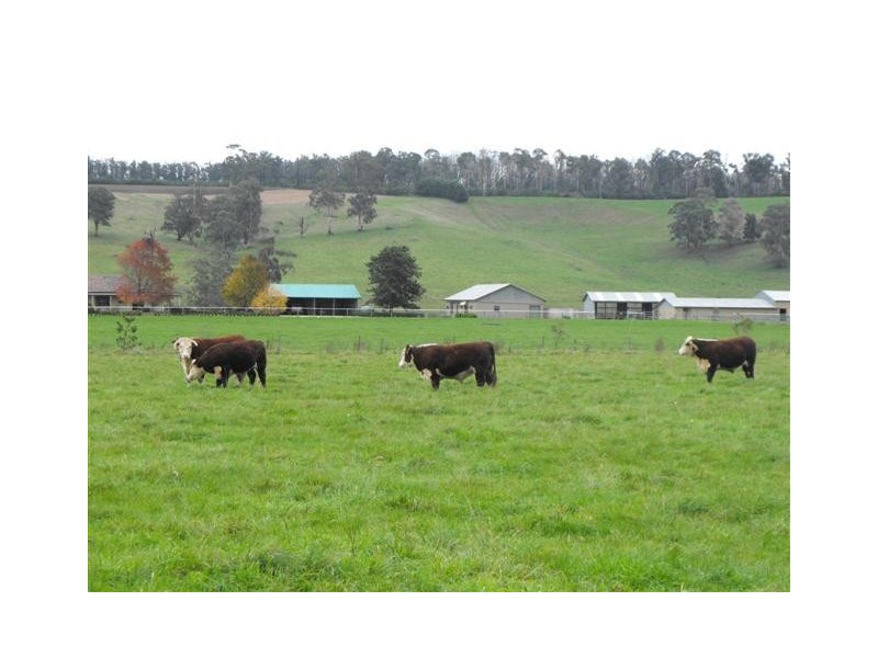 190 Nuttells Road, Yinnar VIC 3869