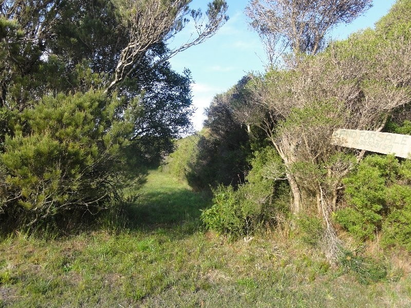 46 Grevillia St, Walkerville VIC 3956