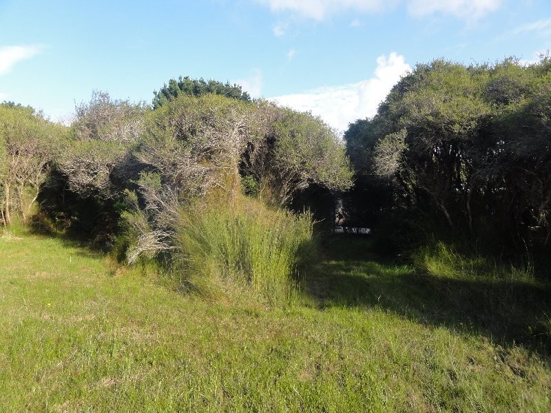 46 Grevillia St, Walkerville VIC 3956