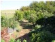 3250 Grand Ridge Road, Mirboo North VIC 3871