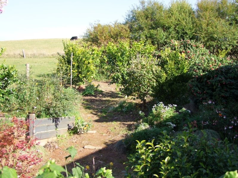 3250 Grand Ridge Road, Mirboo North VIC 3871