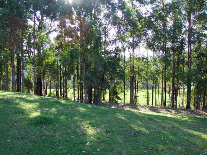 3250 Grand Ridge Road, Mirboo North VIC 3871