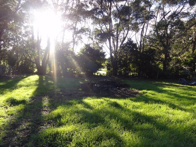 23 Hoddle Rd, Foster VIC 3960