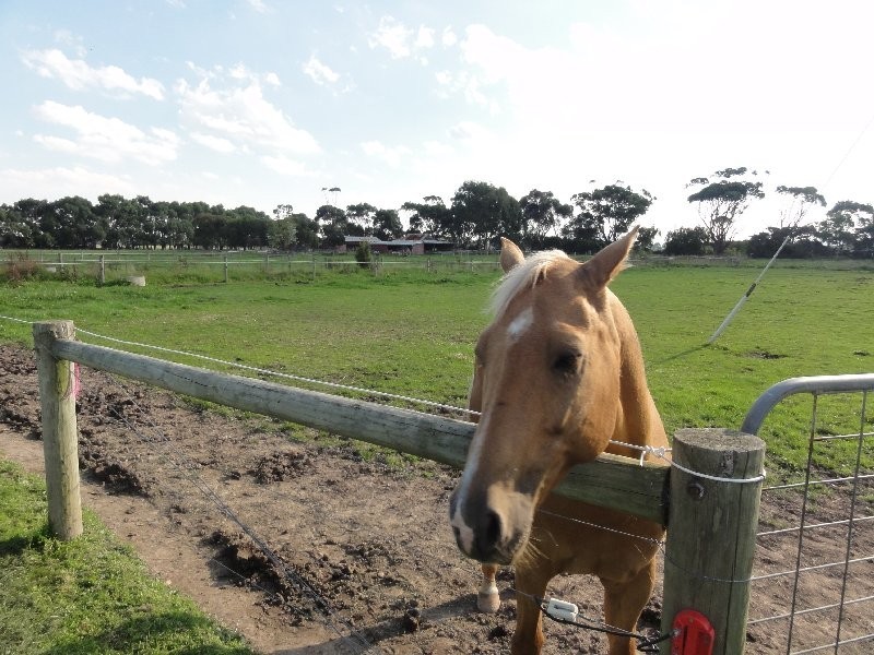 85 Rathjens Rd, Toora VIC 3962