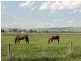 85 Rathjens Rd, Bennison VIC 3960