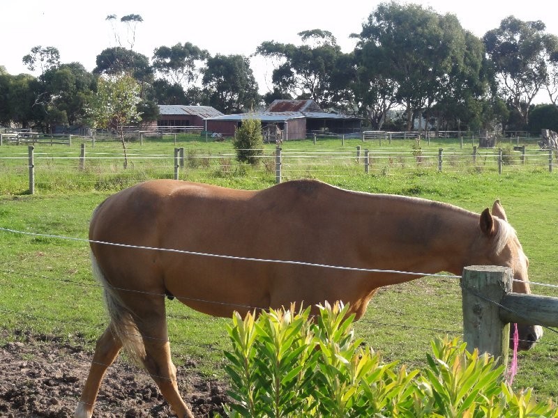 85 Rathjens Rd, Bennison VIC 3960