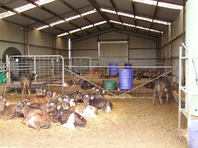 85 Cross Road, Leongatha South VIC 3953