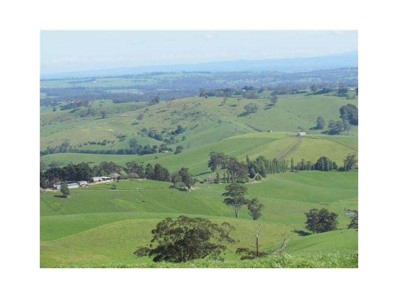 821 Mountain View Road ( 3 Titles), Mountain View VIC 3988