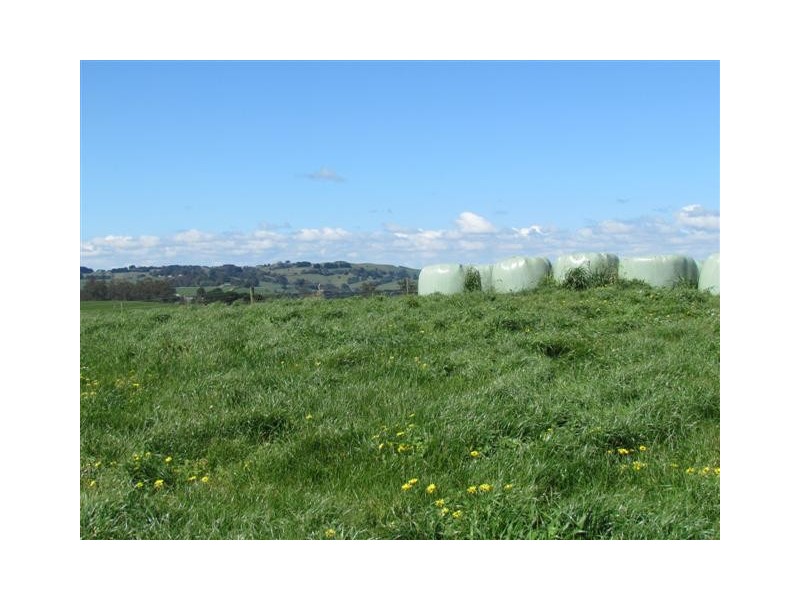 821 Mountain View Road ( 3 Titles), Mountain View VIC 3988