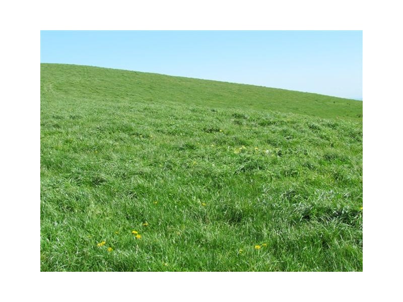 821 Mountain View Road ( 3 Titles), Mountain View VIC 3988