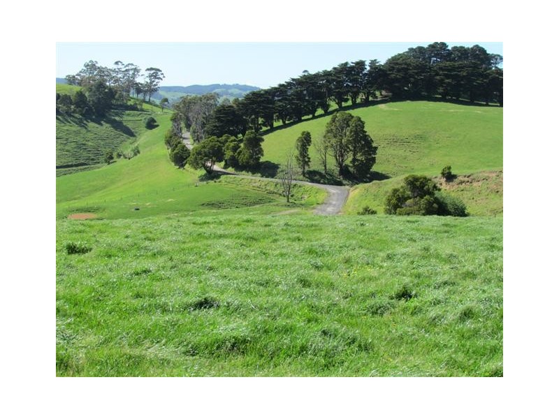 Lots 4 and 7 Mountain View Road, Mountain View VIC 3988