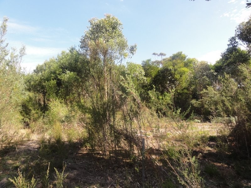 Lot 5 Townsend St, Port Welshpool VIC 3965