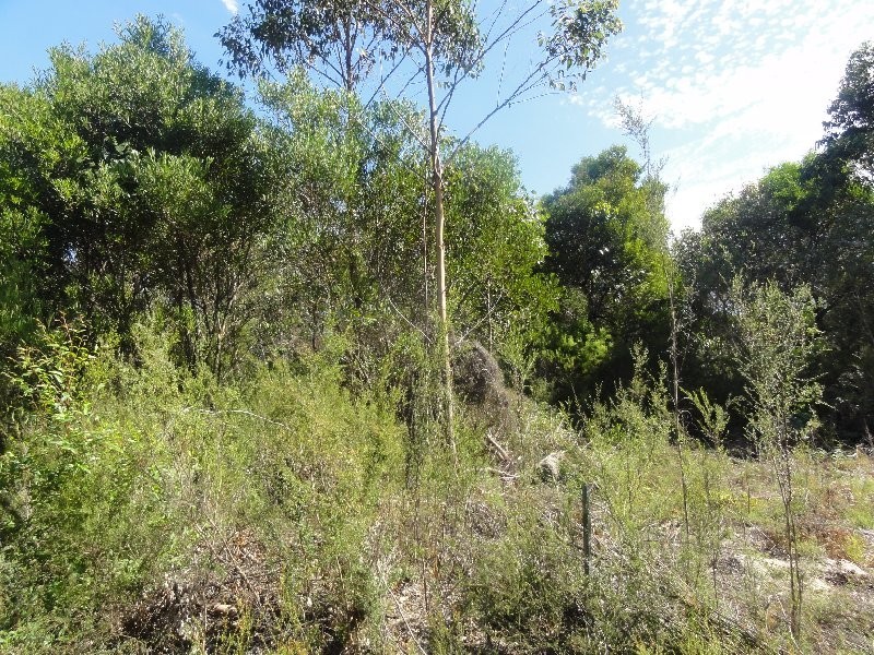 Lot 5 Townsend St, Port Welshpool VIC 3965