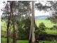 30 Ross Ferguson Rd, Binginwarri VIC 3966