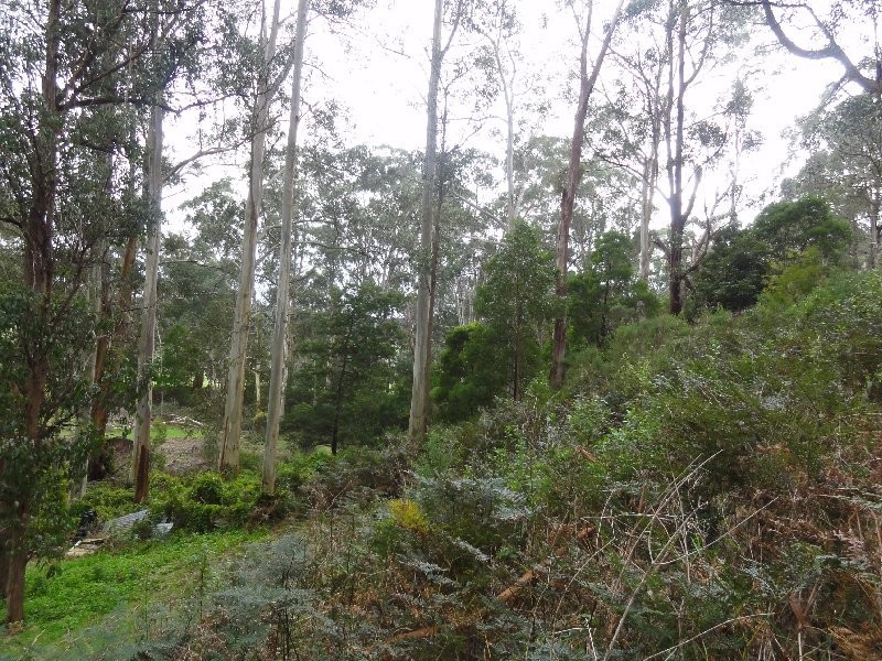 30 Ross Ferguson Rd, Binginwarri VIC 3966