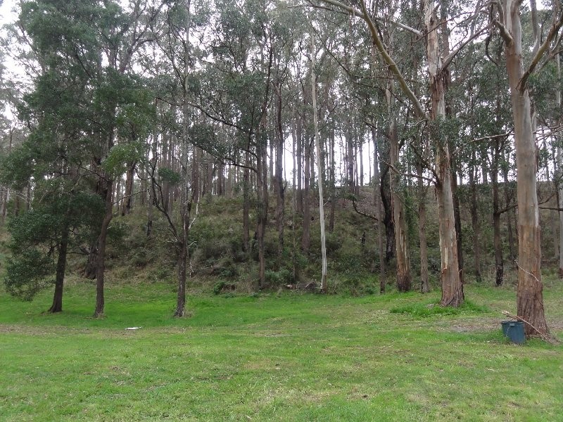 30 Ross Ferguson Rd, Binginwarri VIC 3966