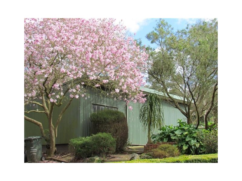 264 Armours Road, Warragul VIC 3820