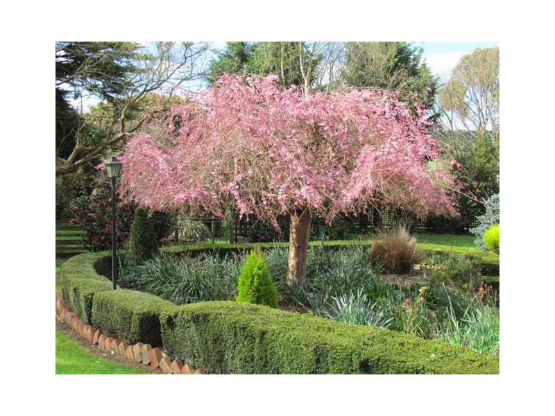 264 Armours Road, Warragul VIC 3820