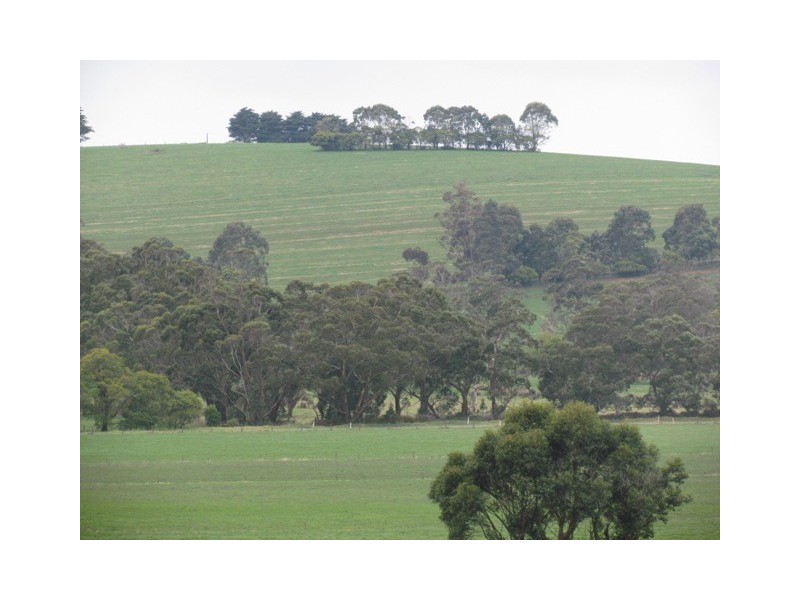 31 Simper court, Drouin VIC 3818