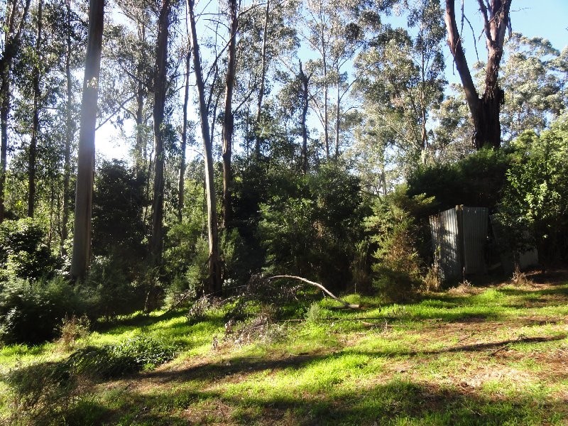 2885 Sth Gippsland Hwy, Foster VIC 3960