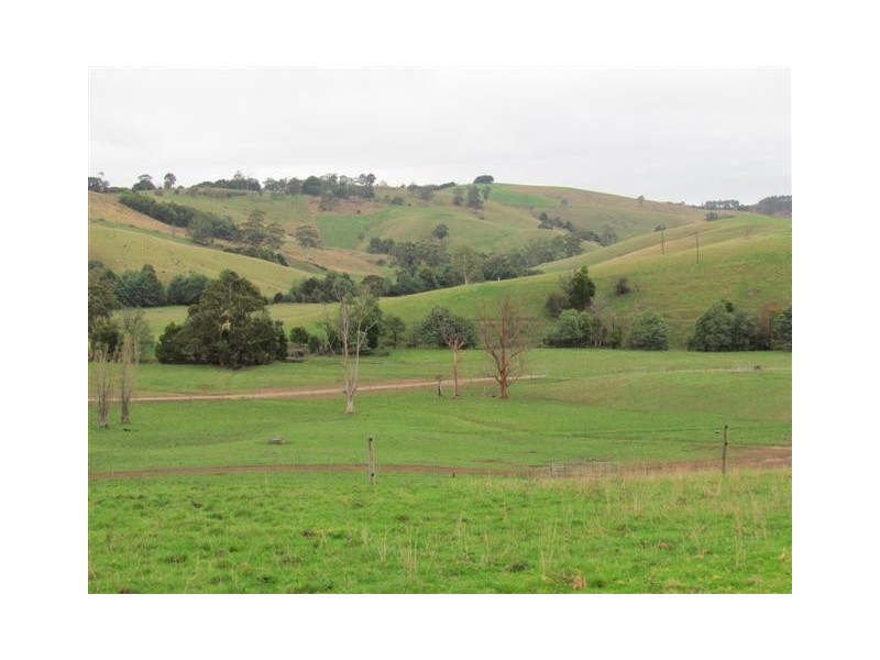 Cnr Porters and Mountain View Rd, Poowong East VIC 3988