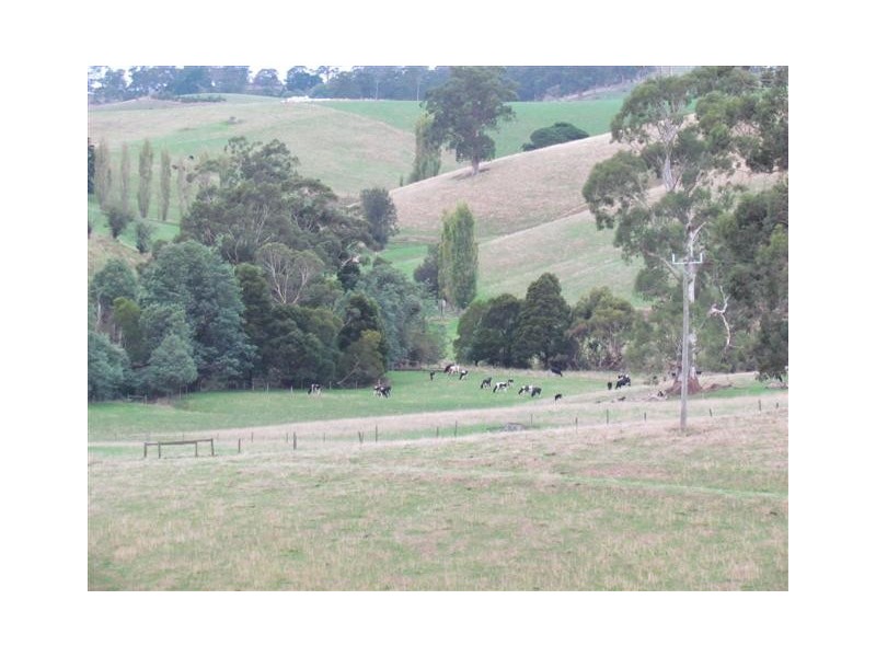 Cnr Porters and Mountain View Rd, Poowong East VIC 3988