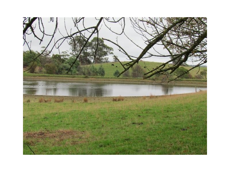 Cnr Porters and Mountain View Rd, Poowong East VIC 3988