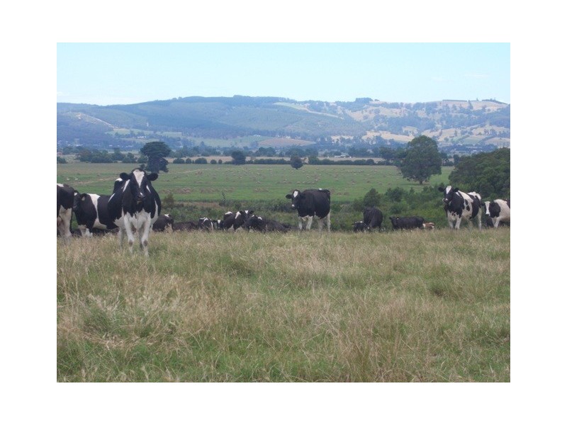 65 Gibson Brothers Road, Trafalgar VIC 3824