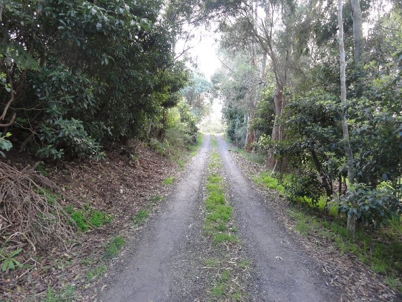 Lots 5,6,7 Allan Crt, Foster VIC 3960