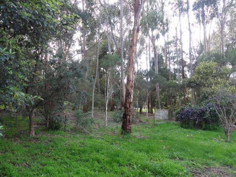 Lots 5,6,7 Allan Crt, Foster VIC 3960