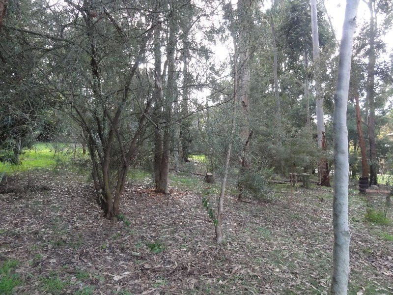 Lots 5,6,7 Allan Crt, Foster VIC 3960