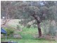 394 Weirs Road, Narracan VIC 3824
