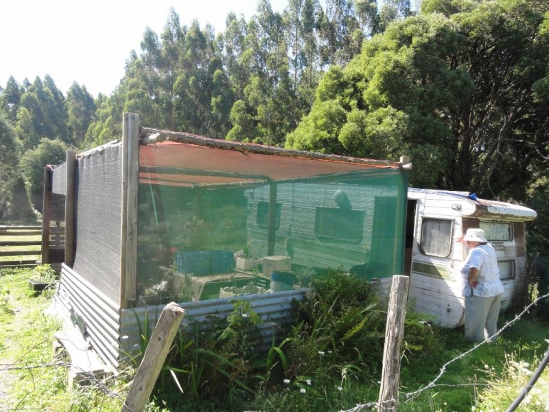 567 Devils Pinch Rd, Toora VIC 3962