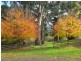 1016 Morwell – Thorpdale Road, Thorpdale VIC 3835