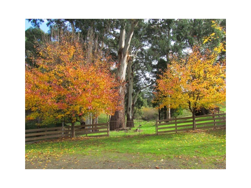 1016 Morwell – Thorpdale Road, Thorpdale VIC 3835